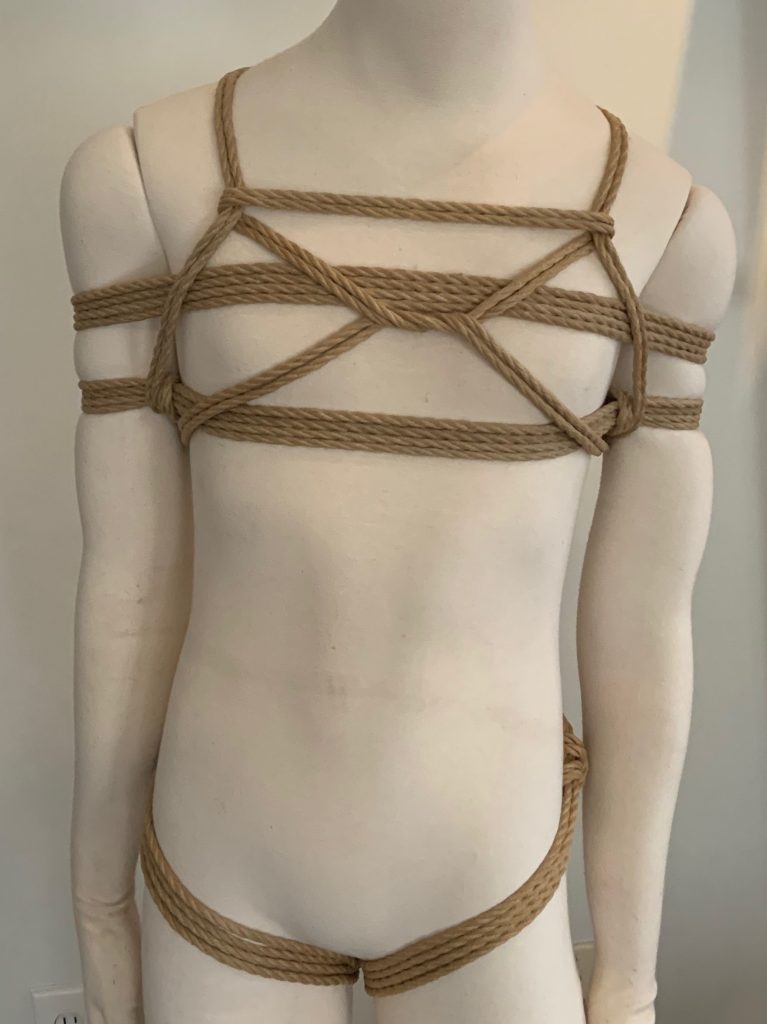 Hands-Free Chest Harness